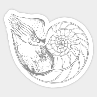 Nautilidae Sticker